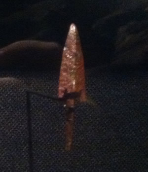 Bronze Arrow